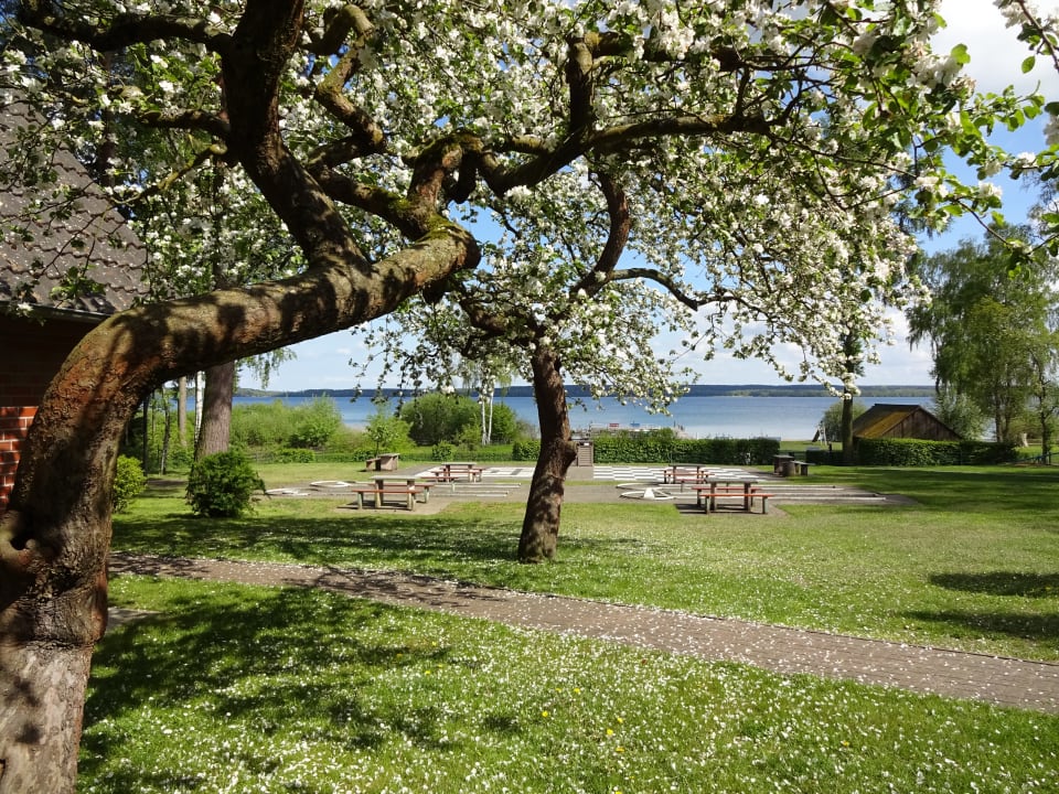 Gartenanlage Ferienpark Heidenholz
