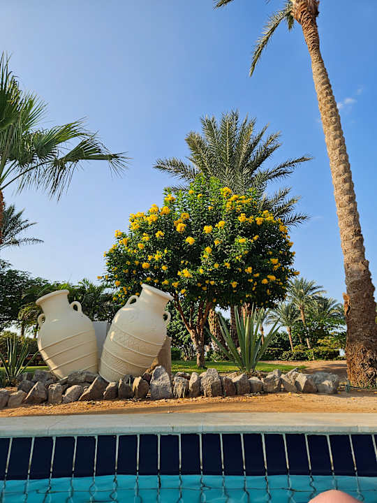 Gartenanlage Steigenberger ALDAU Beach Hotel