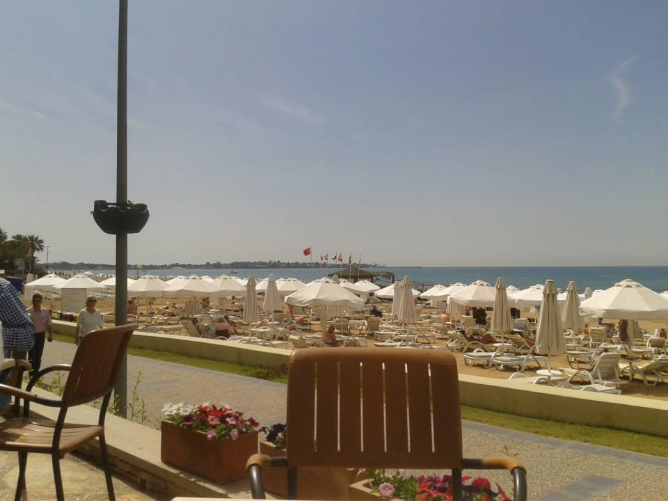 Promenade Arum Barut Collection