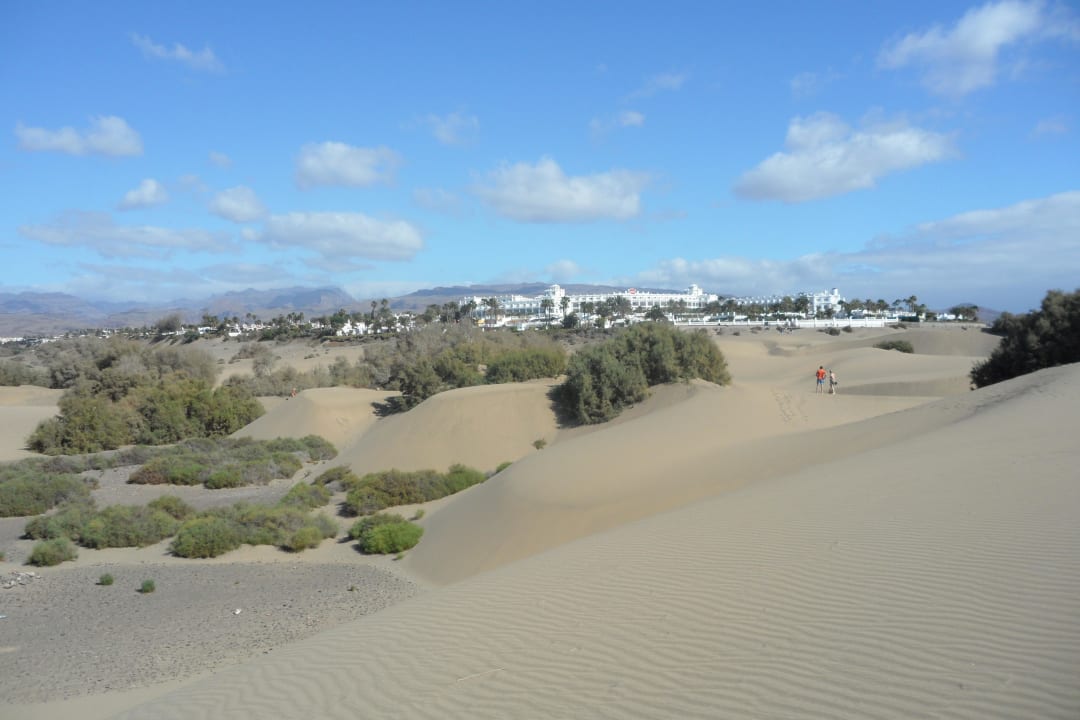 Hotel vom Meer aus gesehen Hotel Riu Palace Maspalomas Adults Only