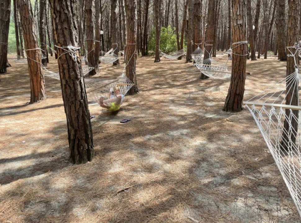 Gartenanlage TUI MAGIC LIFE Calabria