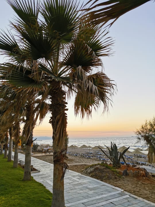 Ausblick Lyttos Beach Hotel