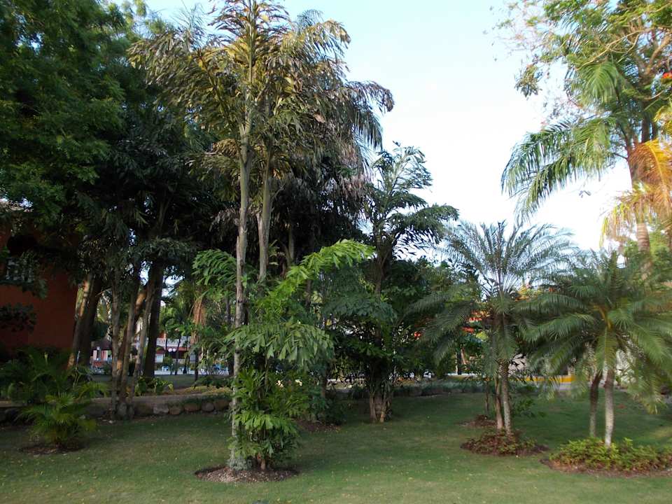 Garten BelleVue Dominican Bay