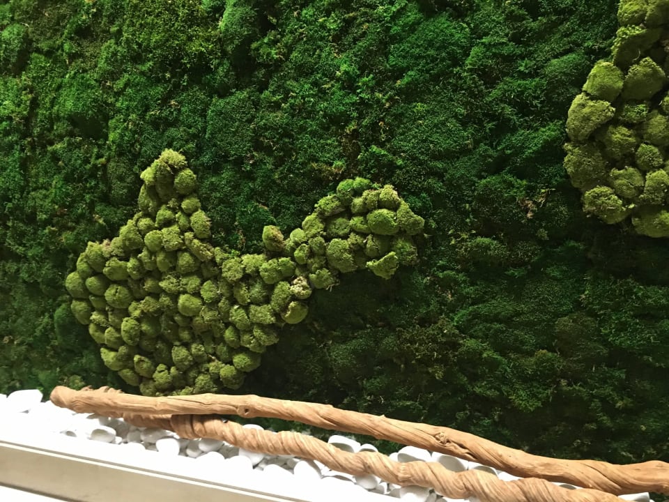 Wand im Spabereich Ikos Oceania