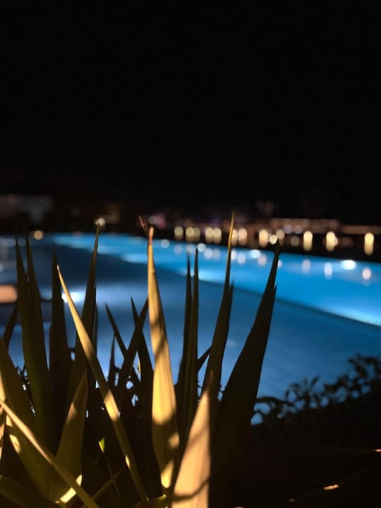 Ausblick JAZ Elite Amara