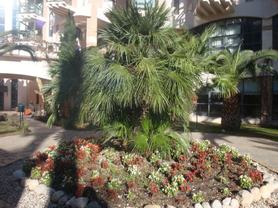 Hotel Limak Limra Limak Limra Hotel & Resort