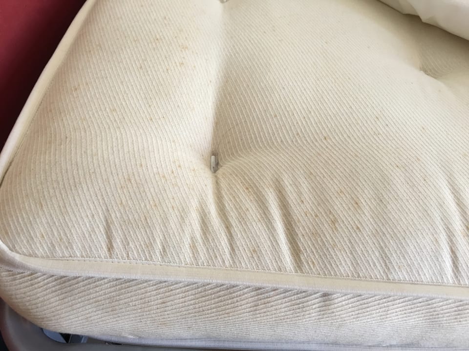 Zimmer allsun App.-Hotel Albatros