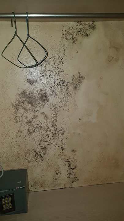 Zimmer Joker Side Hill