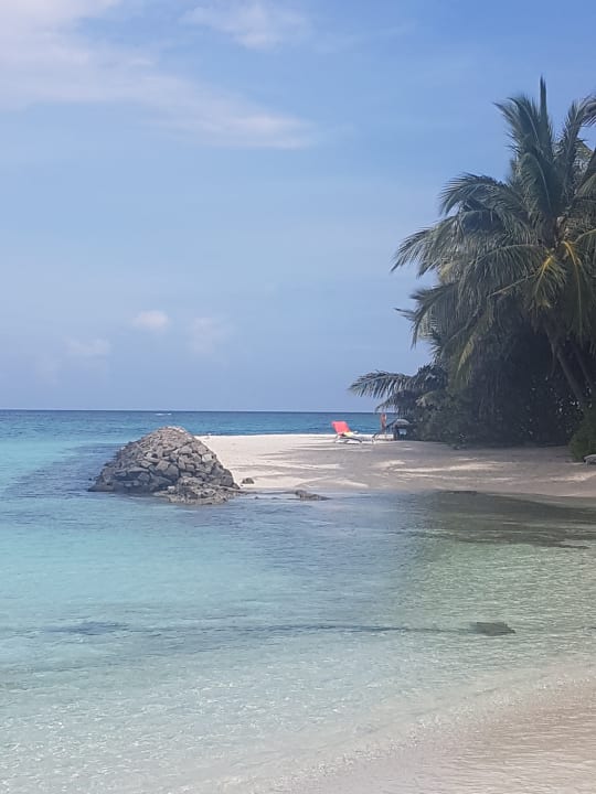 Strand Summer Island Maldives