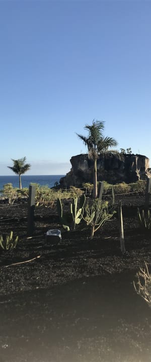 Gartenanlage Royal Hideaway Corales Suites