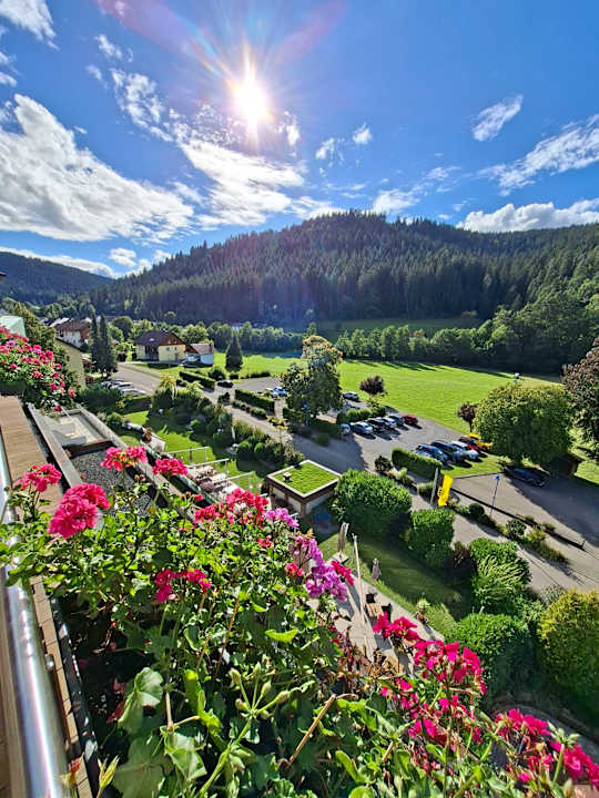 Ausblick Enztalhotel