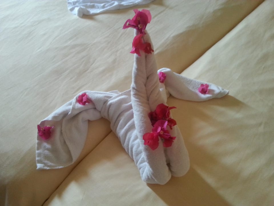 Jeden Morgen ein neues Kunstwerk  Iberostar Waves Mehari Djerba