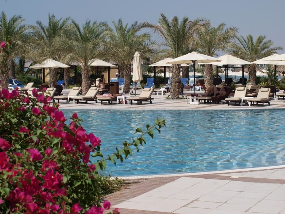 Kwiaty przy basenie Rixos Al Mairid Ras Al Khaimah
