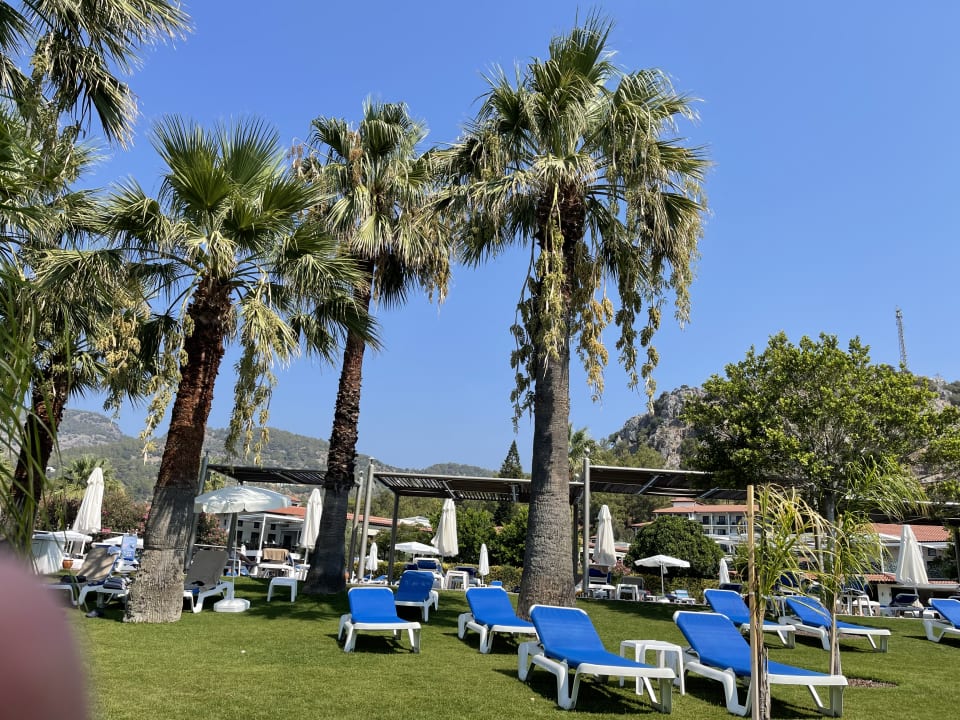 Pool TUI BLUE Sarigerme Park