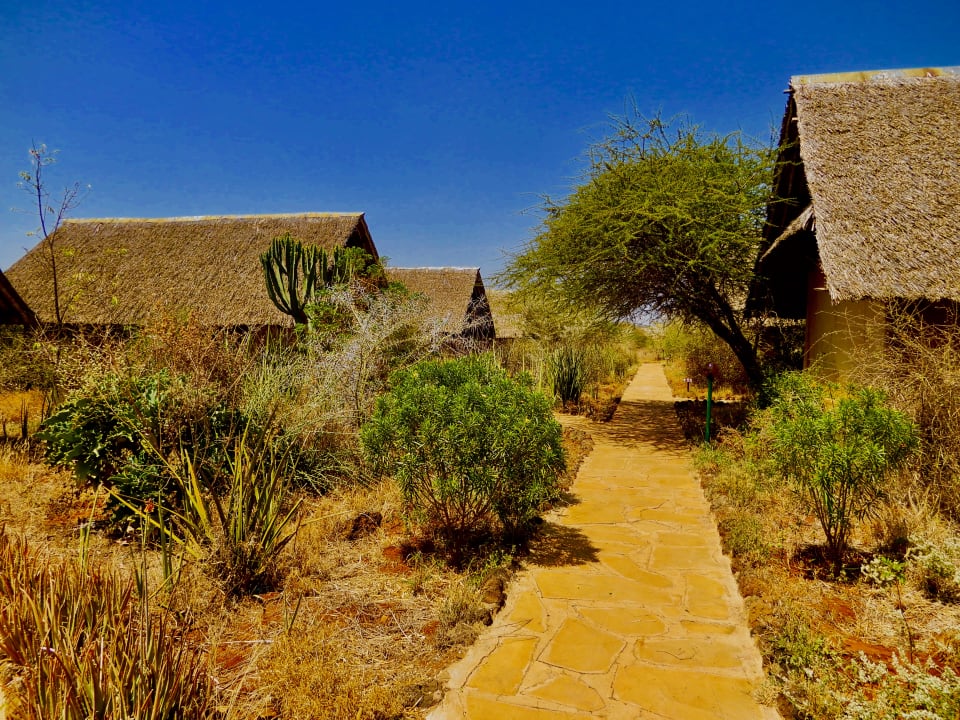 Gartenanlage AA Lodge Amboseli