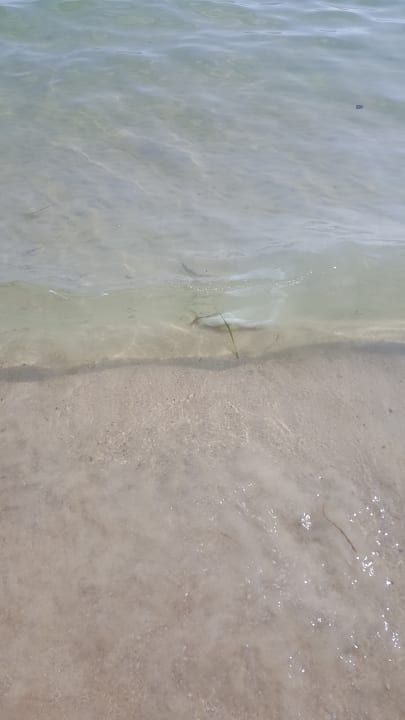 Strand El Ksar Resort & Thalasso