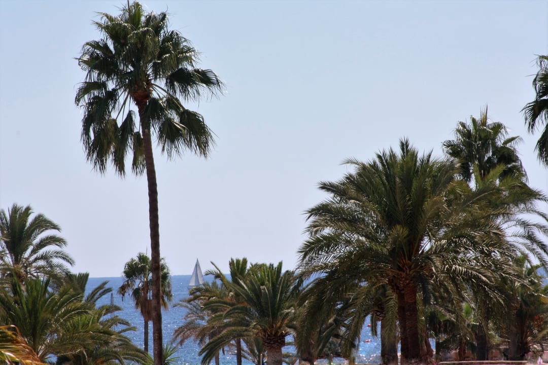 Ausblick La Santa Maria Playa Hotel