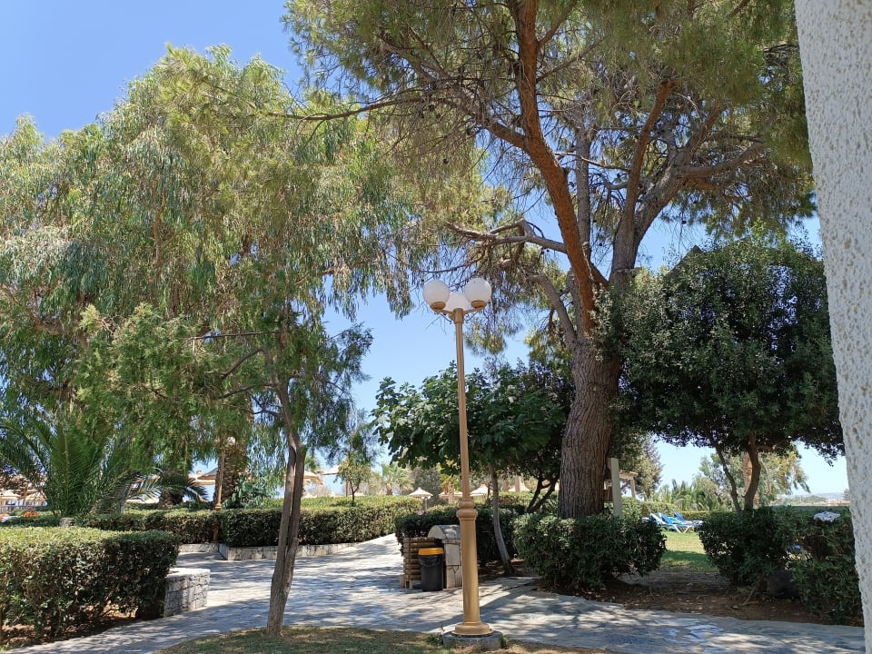 Gartenanlage Apollonia Beach Resort & Spa