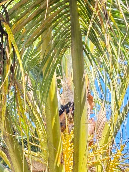 Gartenanlage Adaaran Select Hudhuran Fushi - Premium All Inclusive