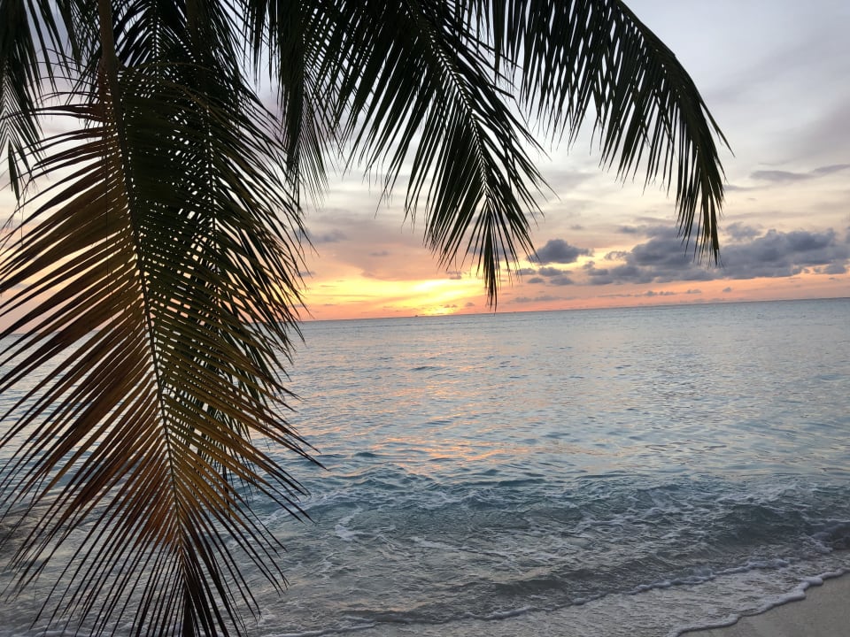 Ausblick NH Collection Maldives Havodda Resort