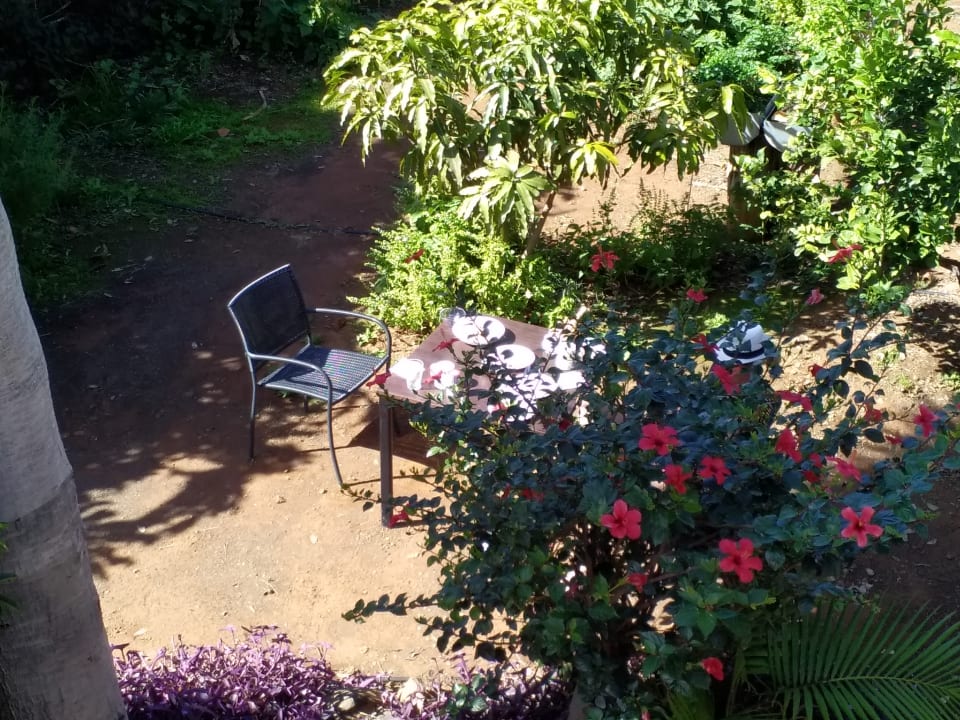 Gartenanlage Finca Marina BuenVivir