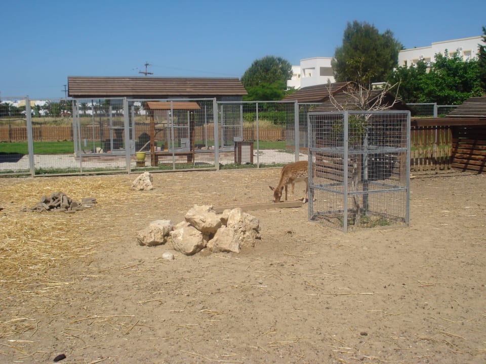 Mini zoo Hotel Gaia Palace