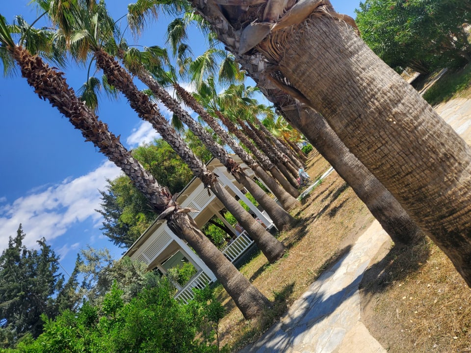 Gartenanlage Club Grand Aqua