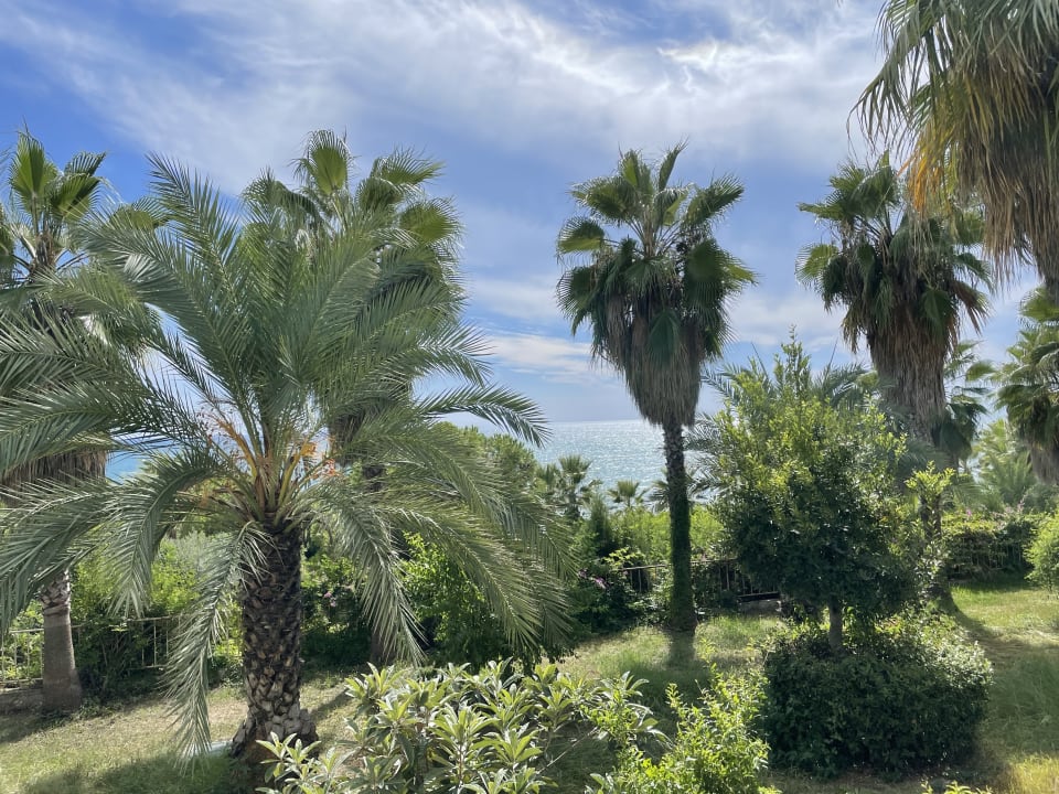 Ausblick Hotel Defne Dream