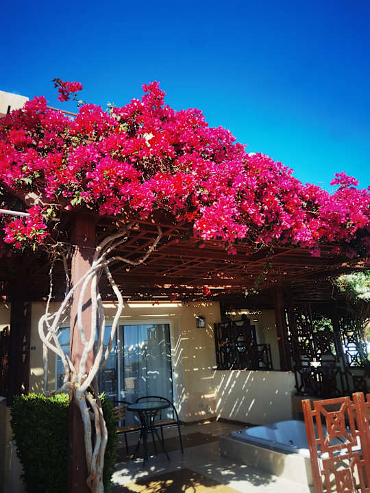 Außenansicht Imperial Shams Abu Soma