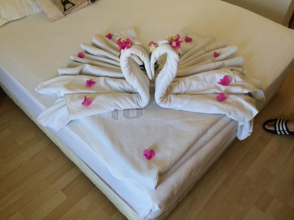 Jeden Tag etwas Neues Blue Diamond Alya