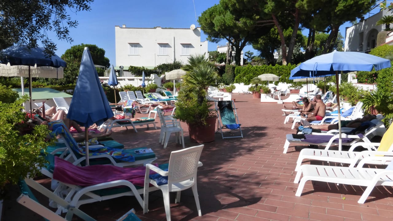 Sonnenliegen Hotel Terme Royal Palm