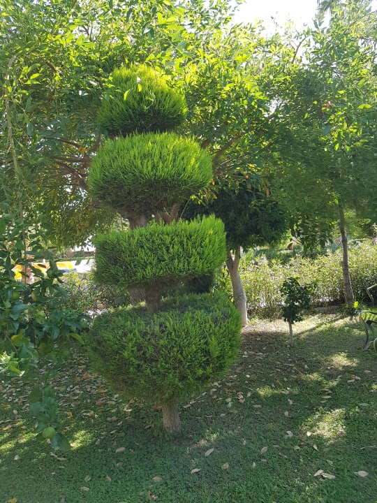 Gastro Saphir Resort & Spa