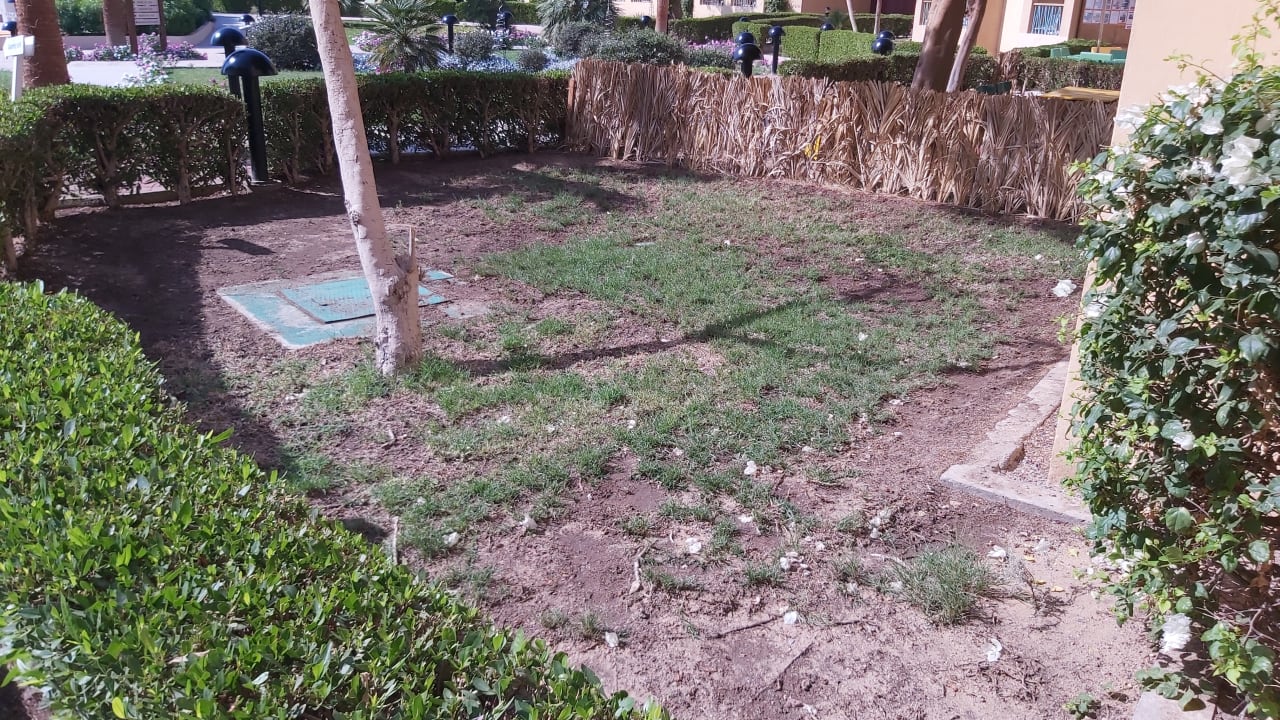 Gartenanlage Lemon & Soul Makadi Garden