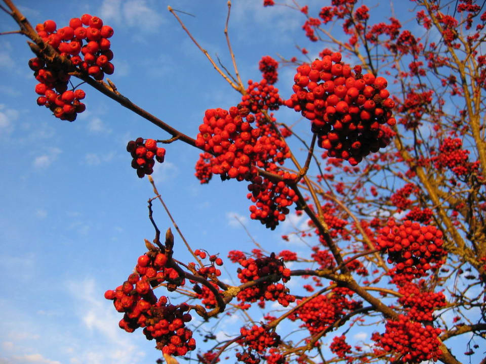 Herbst Landhaus Korte