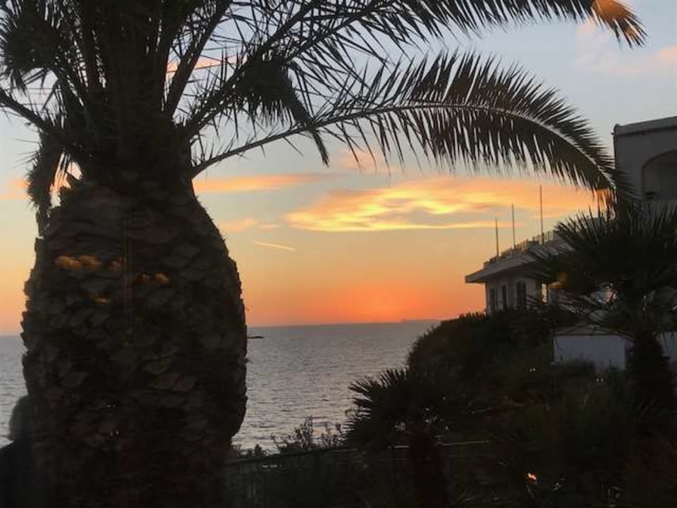 Ausblick Hotel Terme Royal Palm