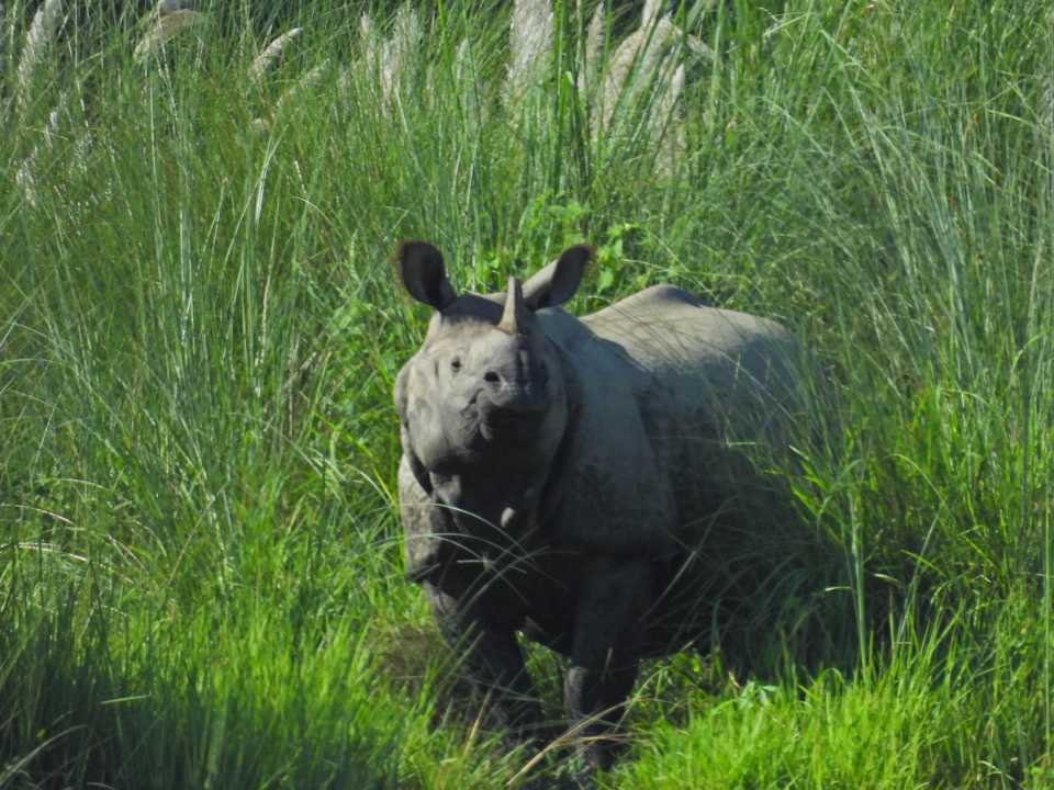 Ausblick Barahi Jungle Lodge