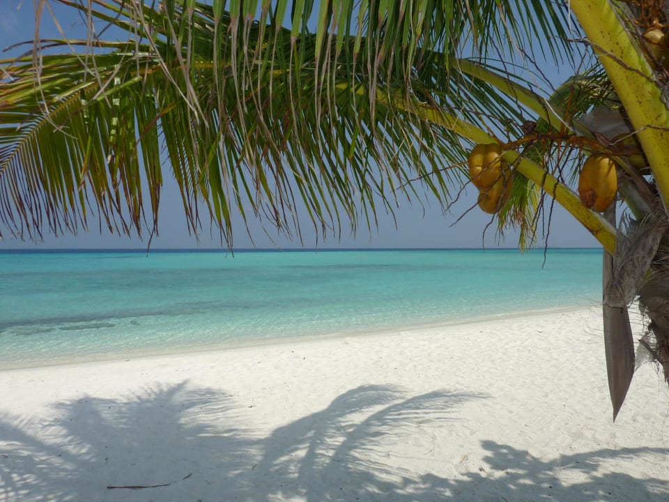 Strand an den Wasserbungalows Summer Island Maldives