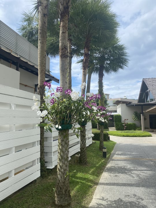Gartenanlage The Sands Khao Lak by Katathani