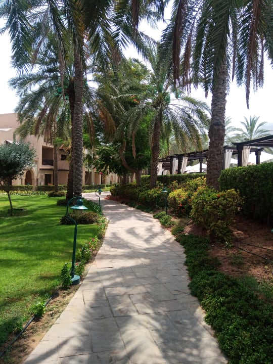 Gartenanlage Miramar Al Aqah Beach Resort