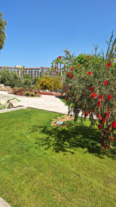 Gartenanlage Arum Barut Collection