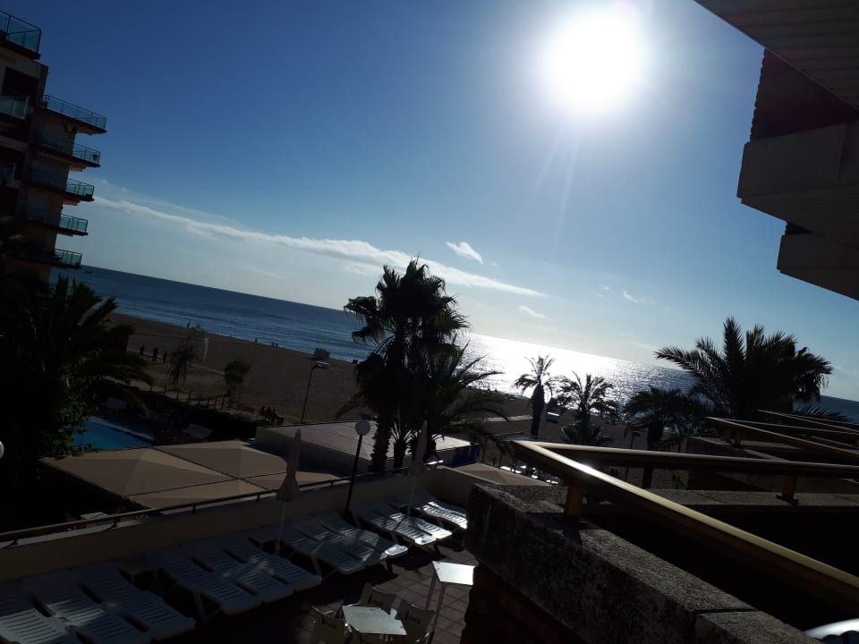 Ausblick htop Royal Sun