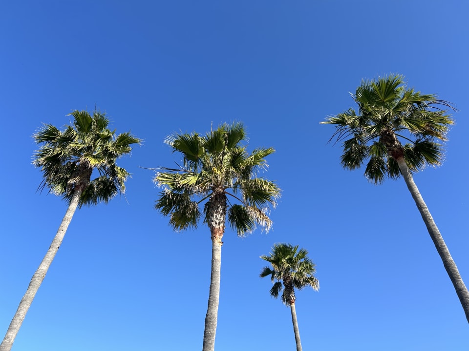 Außenansicht AP Adriana Beach Resort