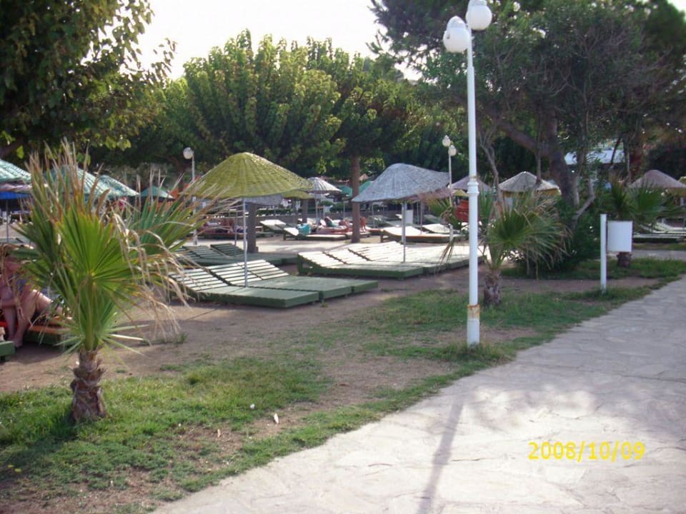 Liegewiese Hotel Grand Efe