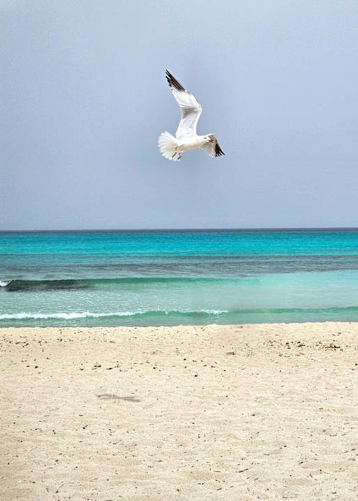 Strand Hotel HM Gran Fiesta