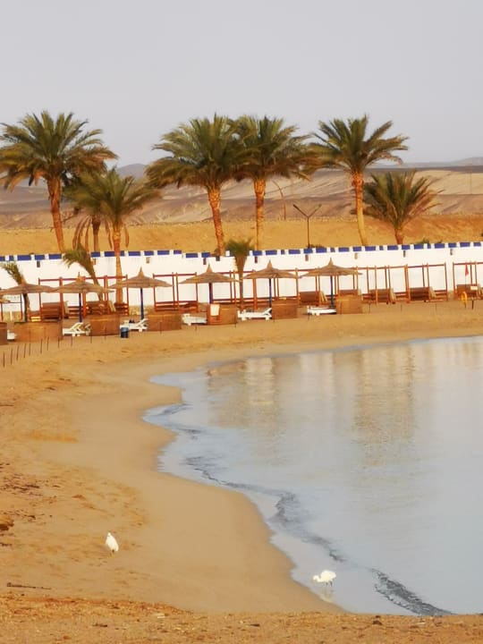Strand Coral Sun Beach