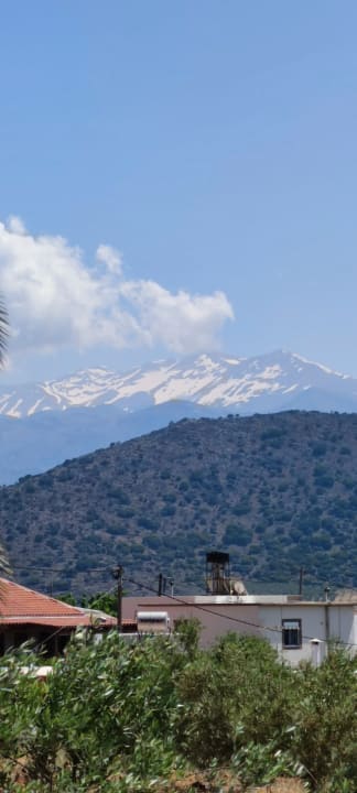 Ausblick allsun Hotel Carolina Mare