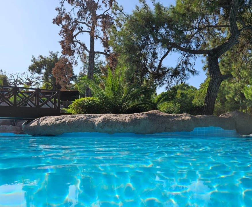 Pool Blue Waters Club