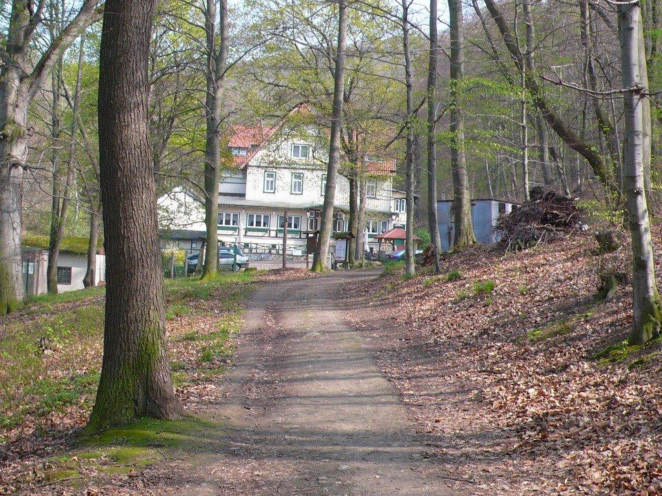 Hotel am Waldesrand Hotel am Schlosspark