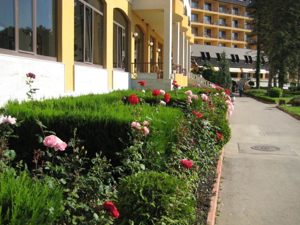 Blumen vor dem Haus I HVD Riviera Beach