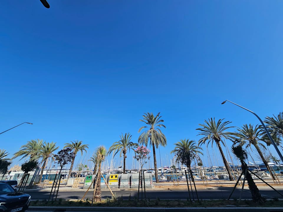 Ausblick Palma Bellver by Meliá